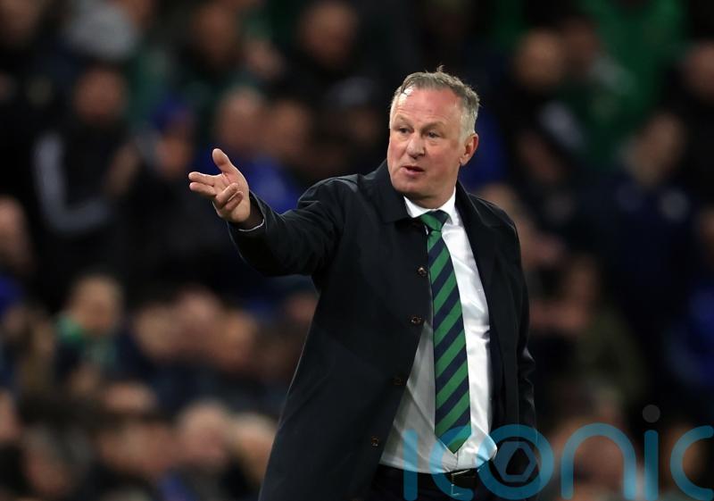 Michael O’Neill rues missed chances as Northern Ireland suffer Finland setback