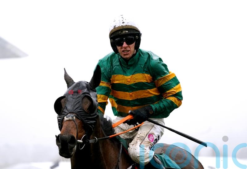 Next stop Aintree for Stayers’ Hurdle hero Sire Du Berlais