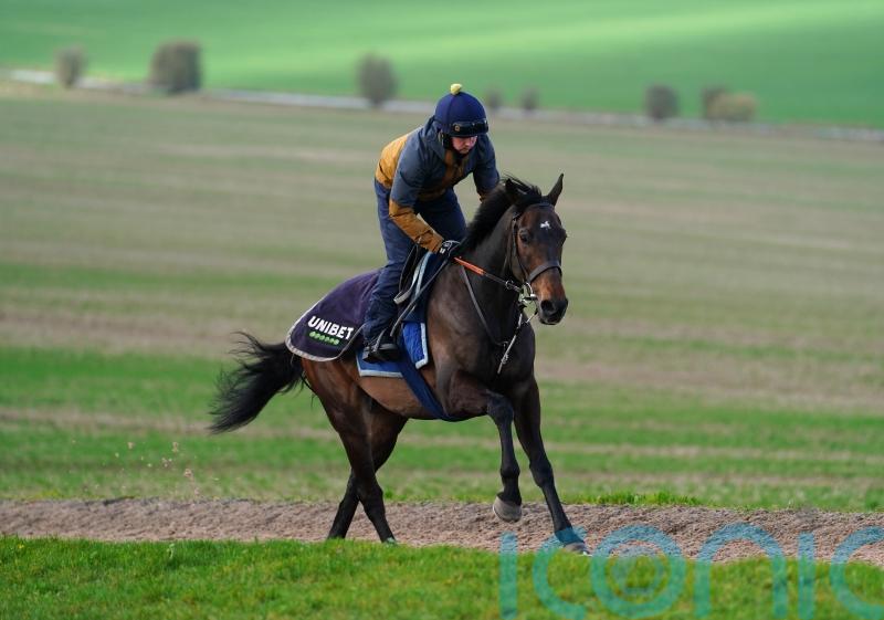 Post-Aintree school to determine Constitution’s chasing plans