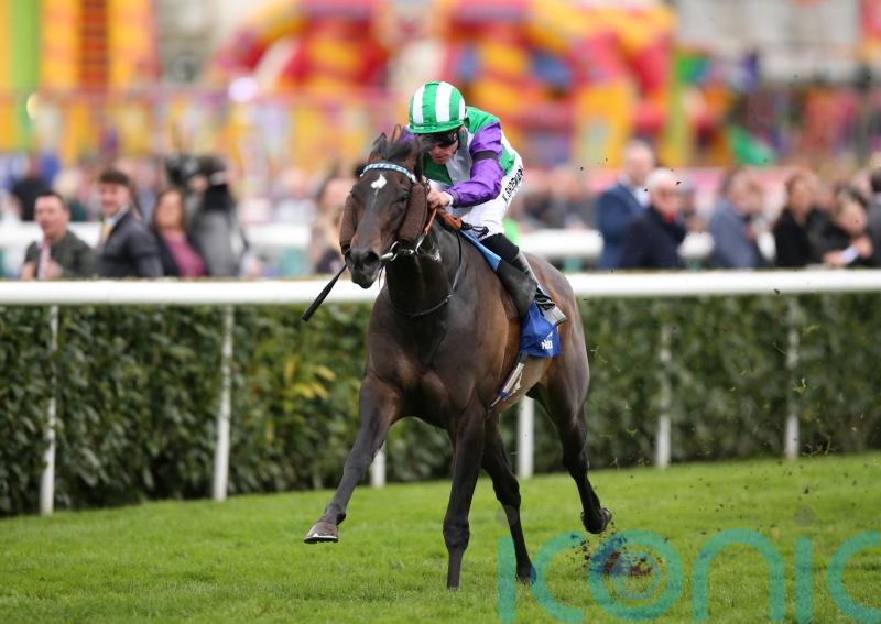 Vadream dominates Cammidge Trophy rivals