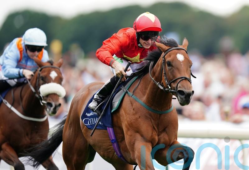 Quinn eyeing York starting point for Highfield Princess