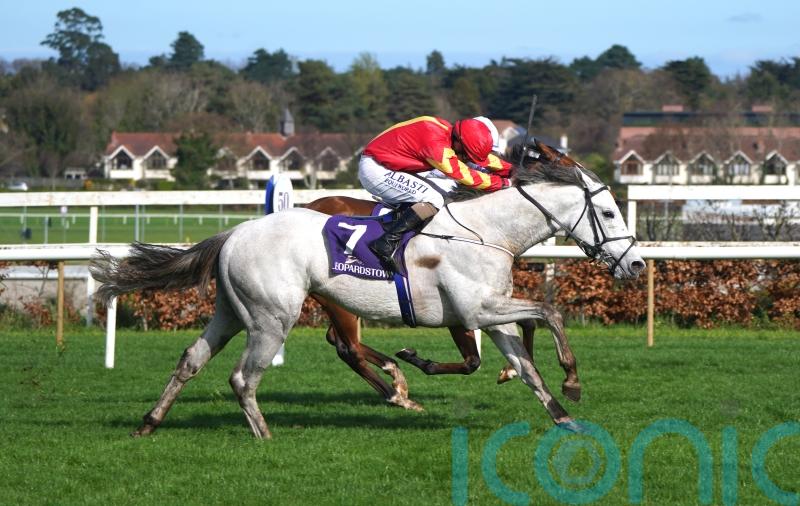 Outsider White Birch surprises Ballysax rivals
