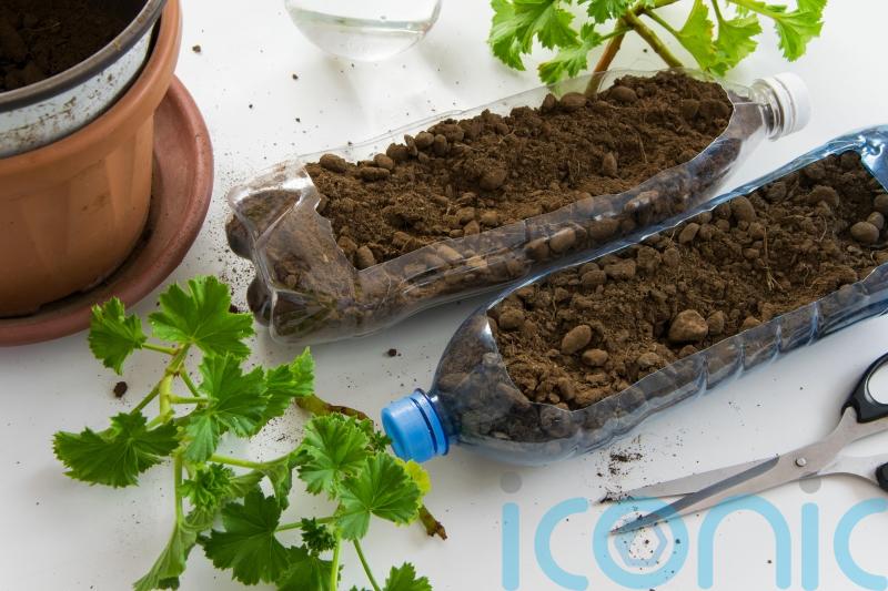 Small steps to growing greener