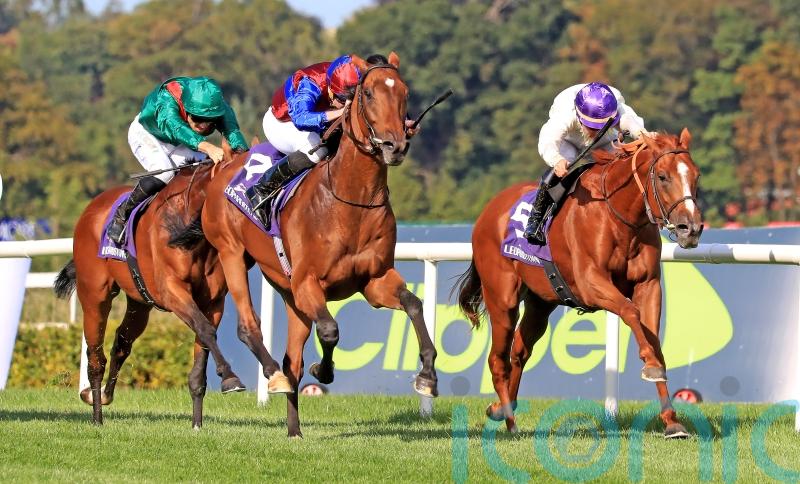 Onesto on course for showdown with Luxembourg and Vadeni
