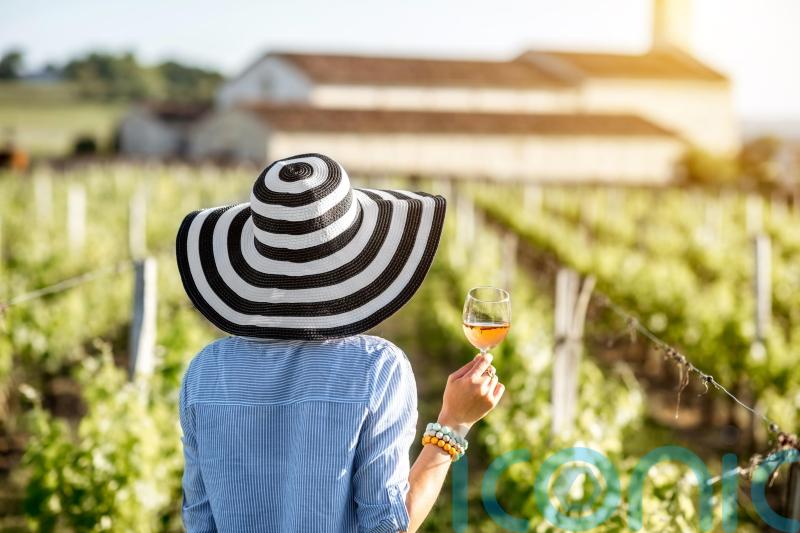 6 sensational rosé wines for summer sipping