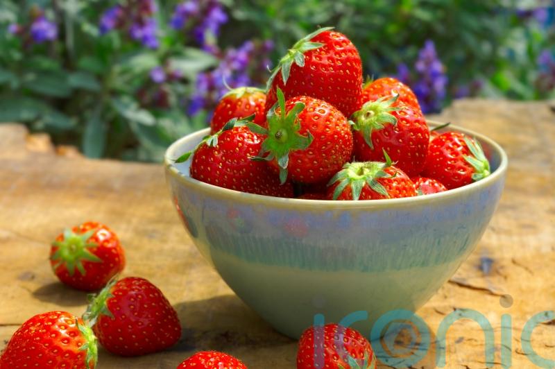 What’s in season to eat this spring?