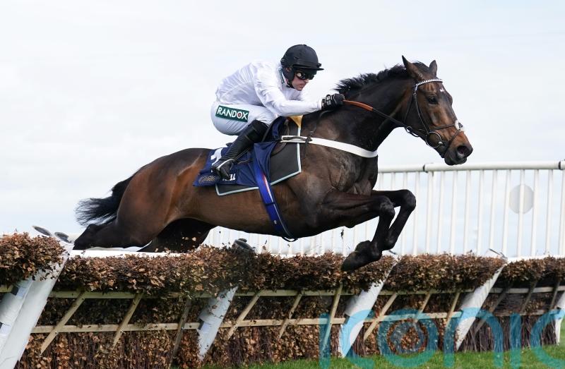 Constitution Hill in cruise control once again