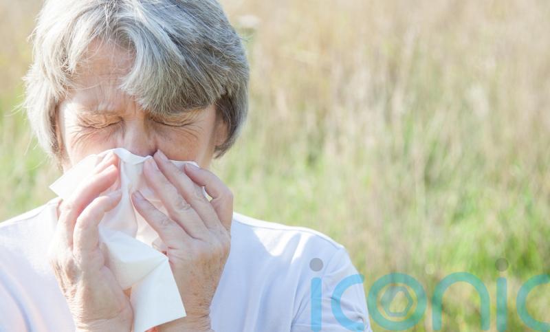 Why is my hay fever so bad at the moment?