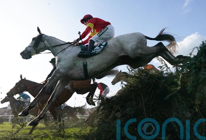 All roads lead back to Aintree for National second Vanillier