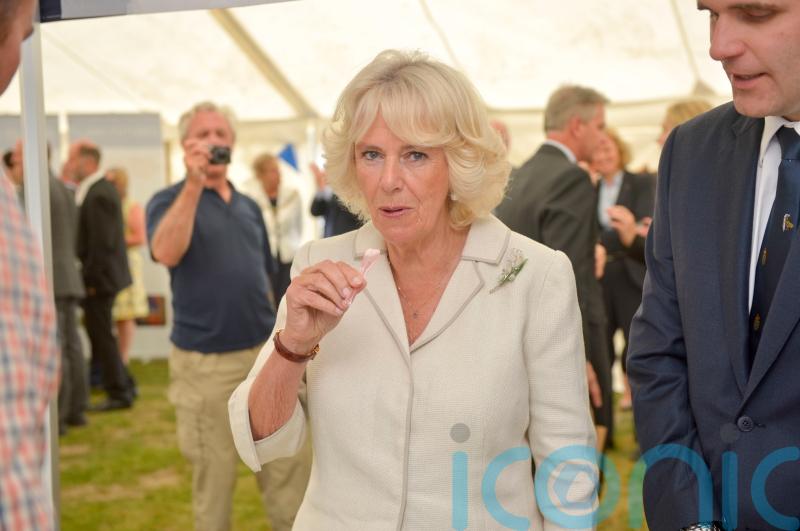 Camilla will want coronation menu free from chilli and garlic, her son says