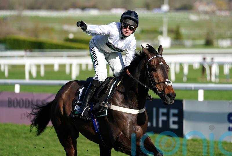 Constitution Hill and nine others that lit up the National Hunt season
