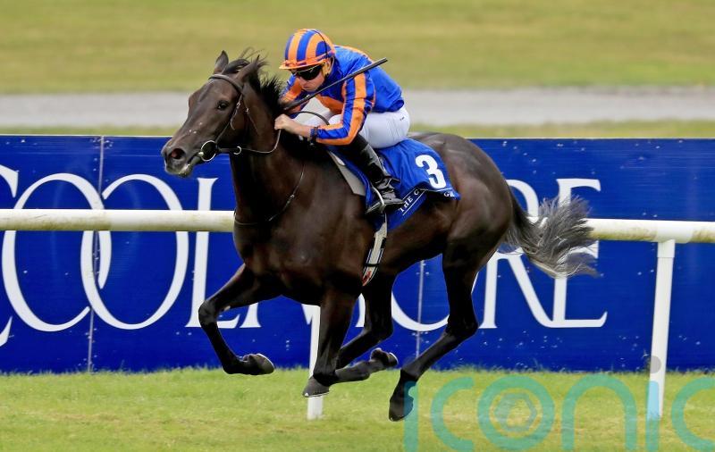 O’Brien keen to have another crack at Tahiyra with Meditate