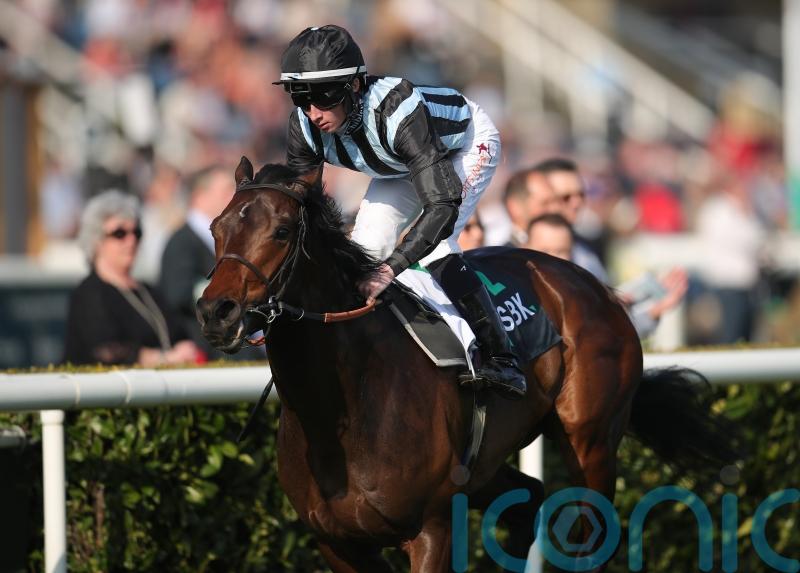 Chindit strikes first time out again to land Paradise Stakes