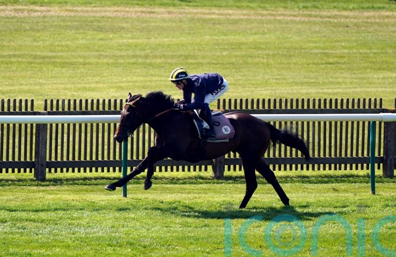 Sakheer bidding to be golden over a mile in Guineas