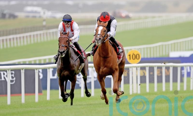 Haggas upbeat on prospect of Ormonde defence from Hamish
