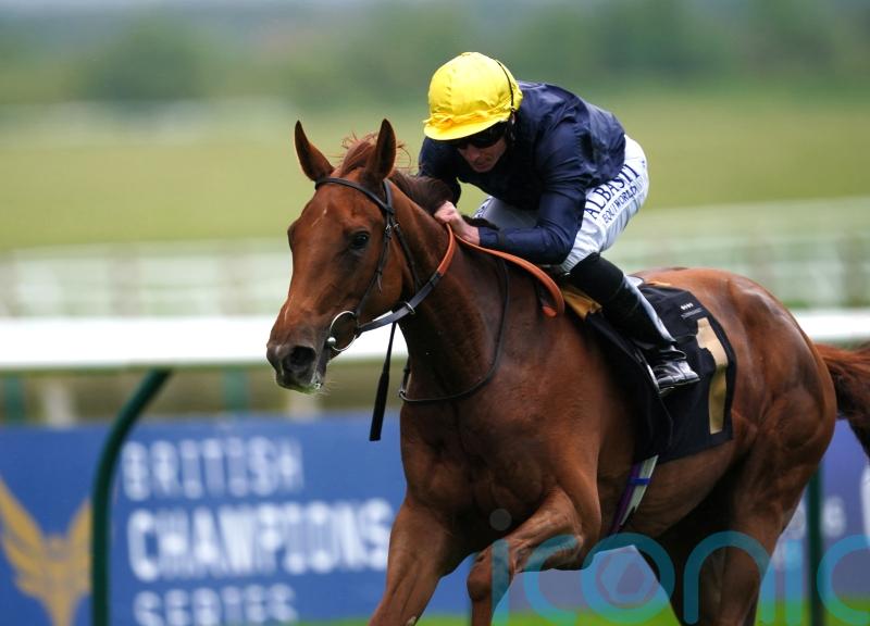 Infinite Cosmos headlines top-class possibles list for Musidora