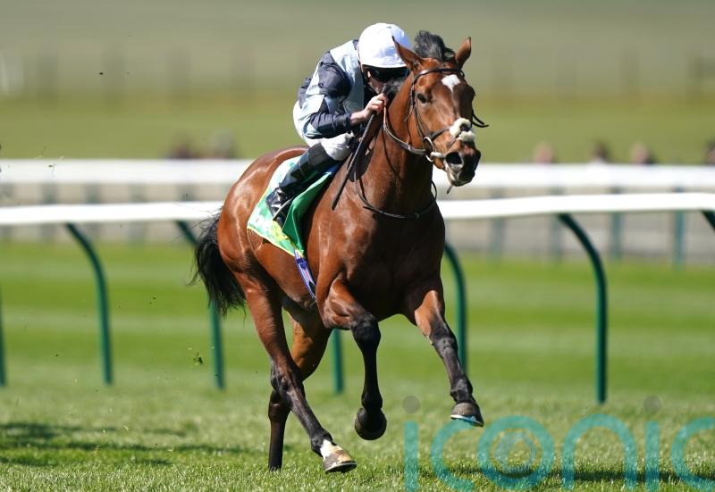 Passenger out to book Derby ticket in Dante