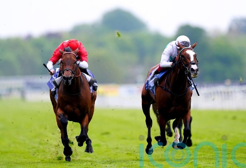 Free Wind makes class count in Middleton Stakes