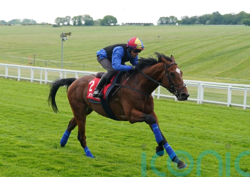 Dettori delight after Arrest does everything asked in Epsom workout