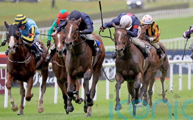 Above The Curve shines at Saint-Cloud, with Nashwa fourth