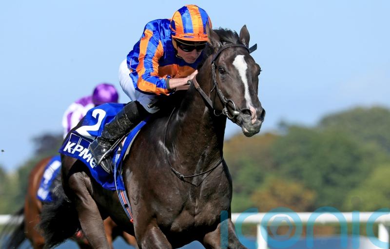 ‘Collector’s item’ Auguste Rodin aiming to set the record straight at Epsom