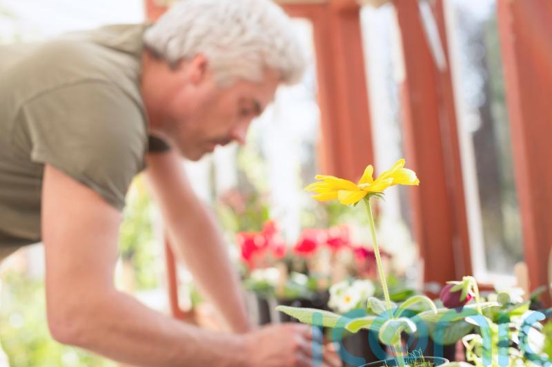 7 great gardening gifts for dads this Father’s Day
