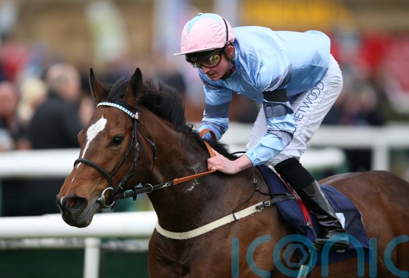 Falmouth date enters Sly’s thinking for Astral Beau