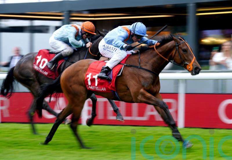 Ziggy’s Phoenix seeking to rise to Hilary Needler challenge