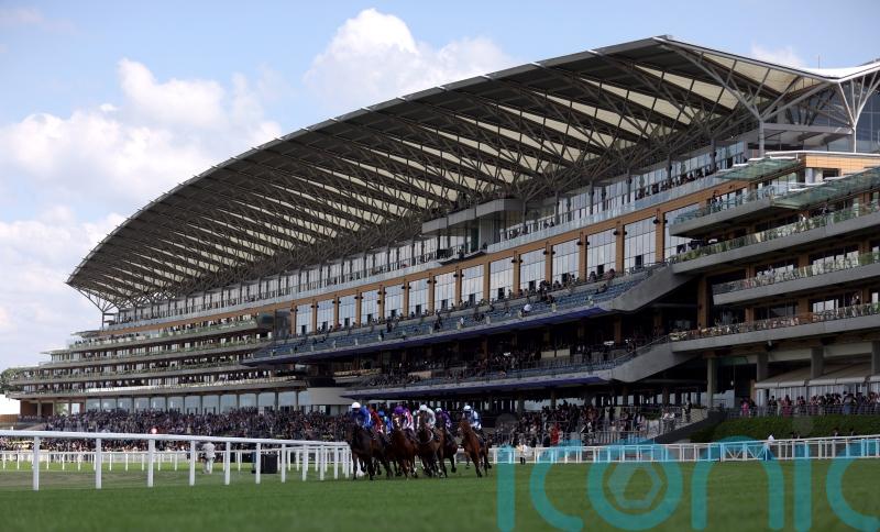 Stickels ‘happy’ with Ascot ground ahead of uncertain forecast