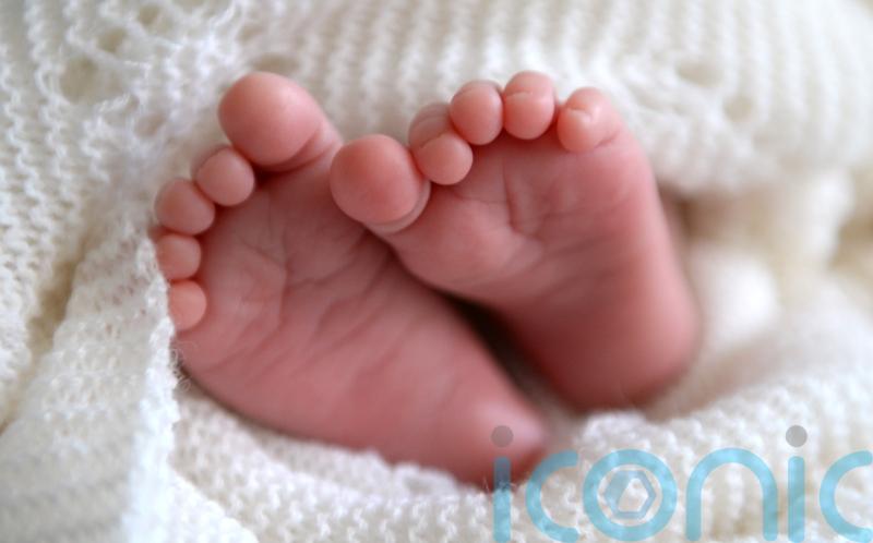 Dramatic rise in the number of women freezing their eggs