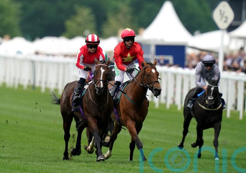 Highfield Princess back for more in Jubilee challenge