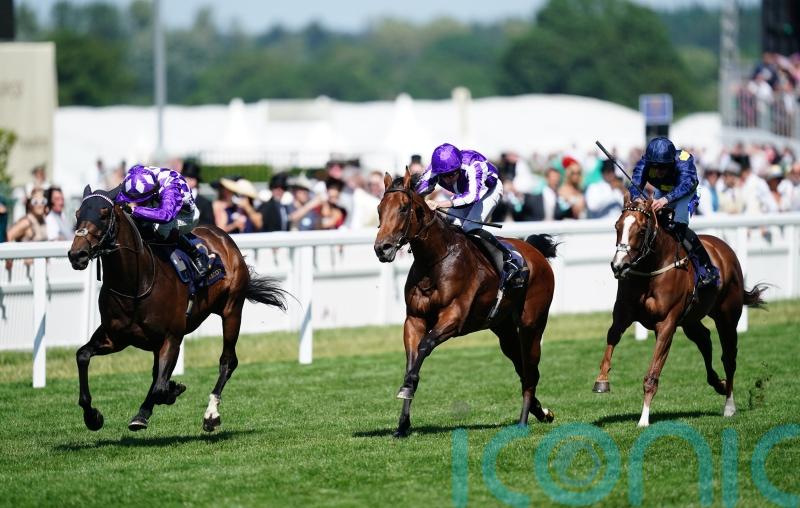 No excuses for Little Big Bear’s Ascot eclipse