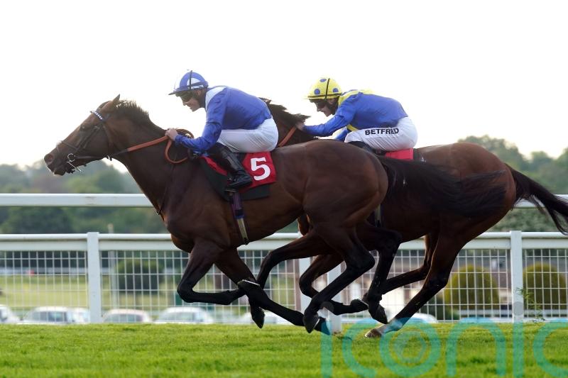 King George in Hukum’s sights after bypassing Royal meeting