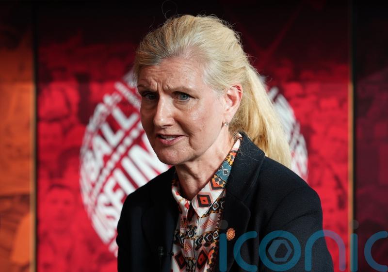 ‘Test plans for Champions League final at Wembley to destruction’ says FA chair