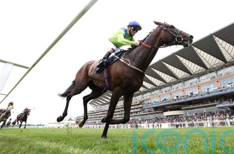 Johnston working towards Goodwood Cup goal with Subjectivist