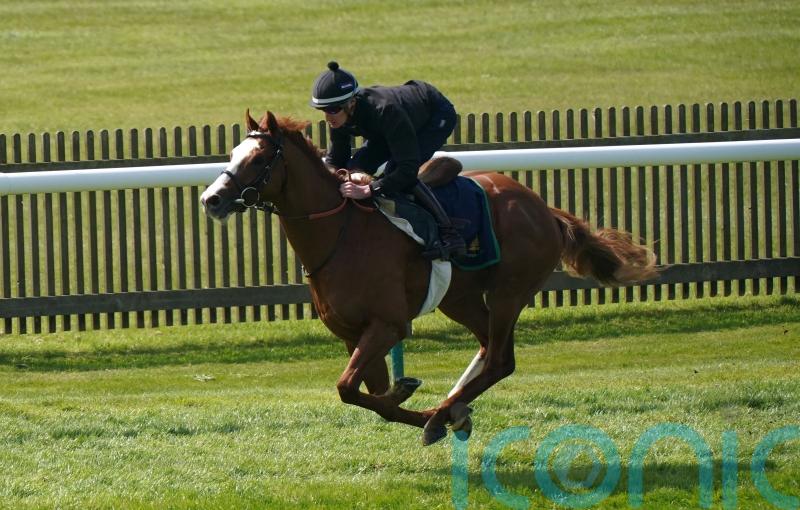Dubai Mile to drop back in trip with autumn aims on the horizon
