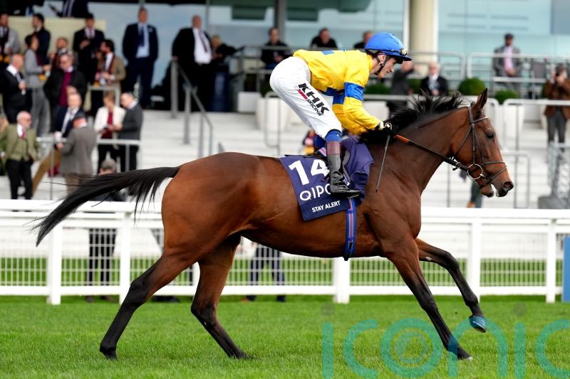 Stay Alert connections lodge Pretty Polly appeal