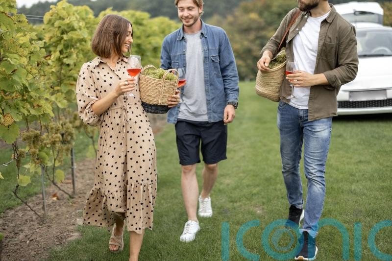 Wines to buy if you’re on a French road trip