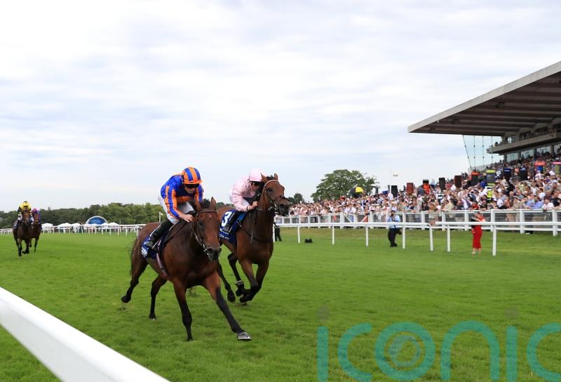 Duffield: Paddington will be hard to beat wherever he goes