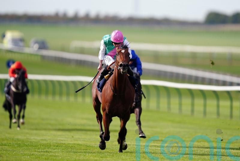 Nostrum primed for delayed Newmarket return