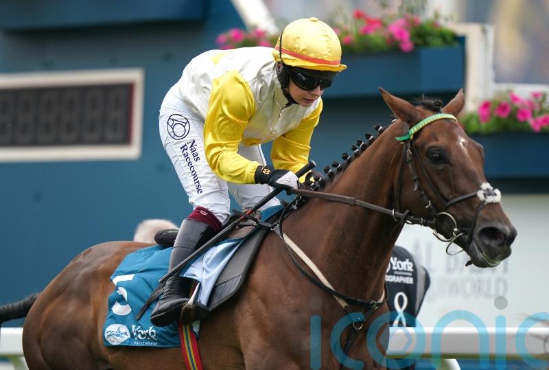 York Stakes option for Ebor hopeful Kihavah