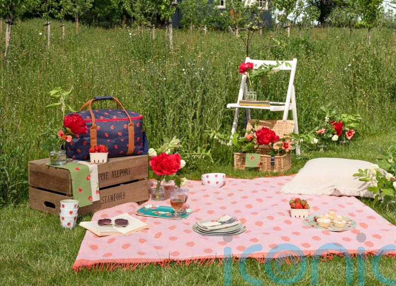 10 ways to style up your picnic