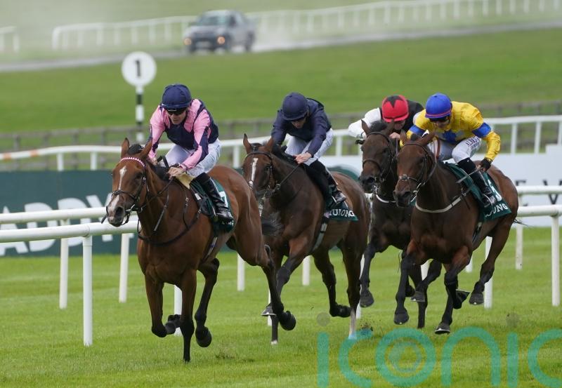 Stay Alert could bid for Pretty Polly compensation in France