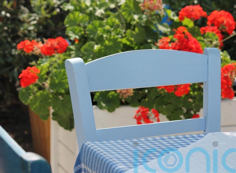 How to bring a touch of the Mediterranean to your garden