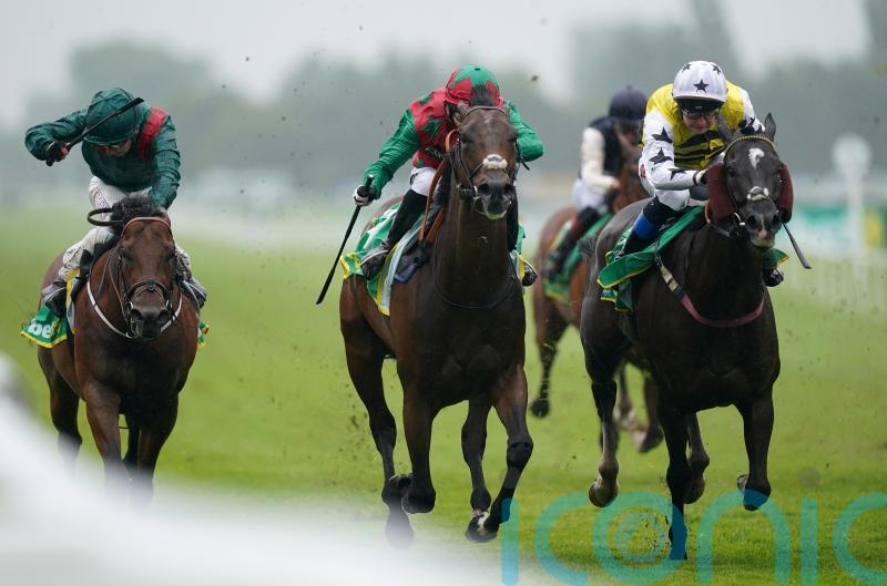 Cox Hopeful for Diligent Harry at Newmarket
