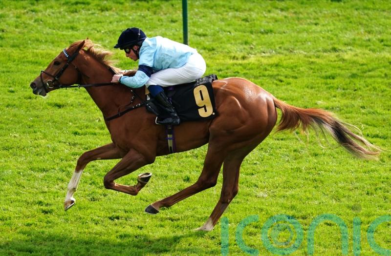 Soprano aiming to hit high note in Star Stakes