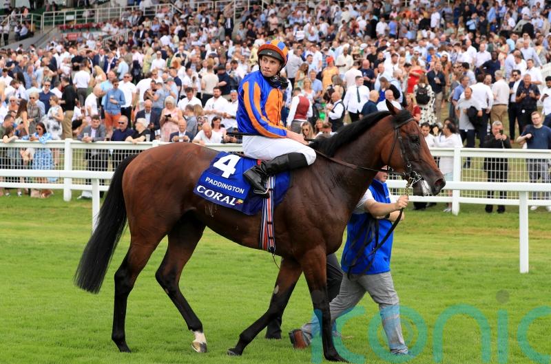 O’Brien taken aback by speed of Paddington’s improvement