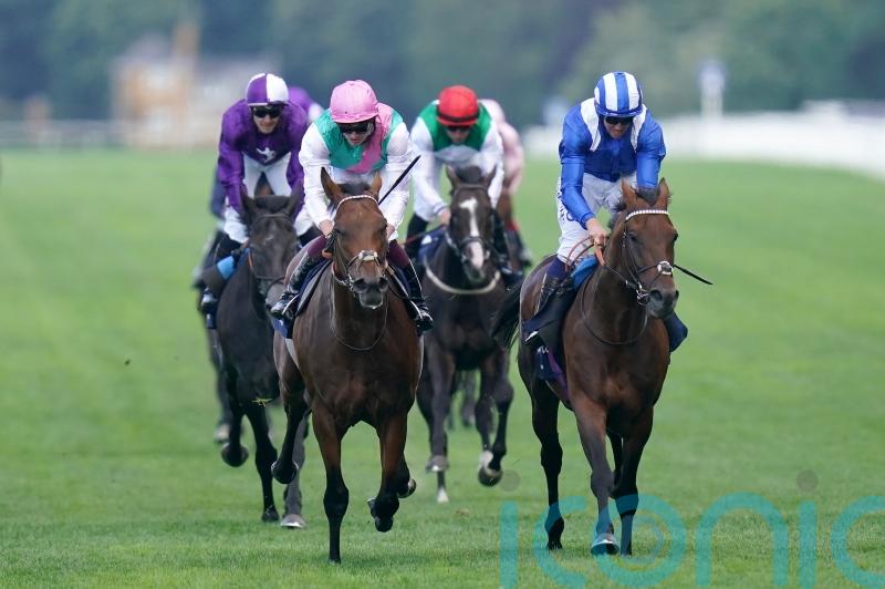 Hukum pips Westover in King George thriller