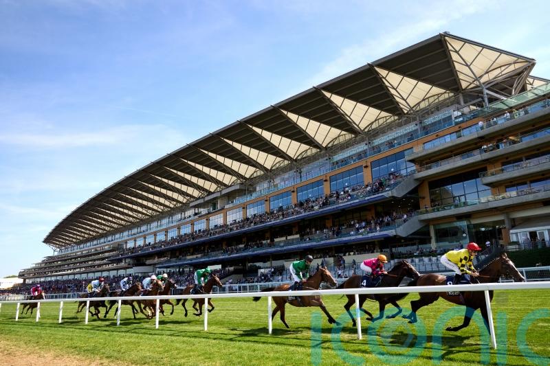 Soft ground could scupper Simca Mille’s King George bid