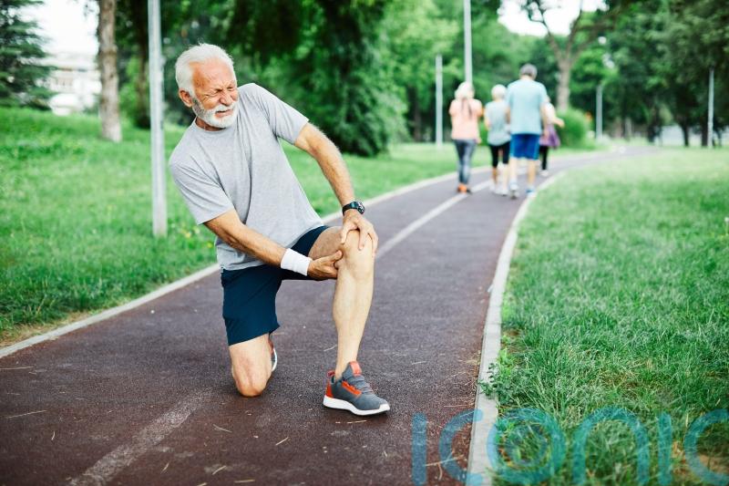 Study reveals how muscle cells deteriorate with age, hampering injury recovery